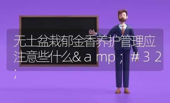 无土盆栽郁金香养护管理应注意些什么  | 植物科普