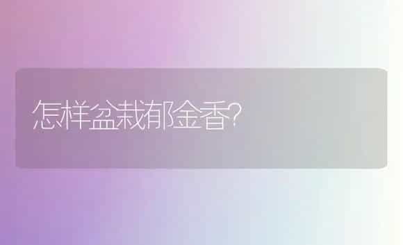 怎样盆栽郁金香？ | 植物科普