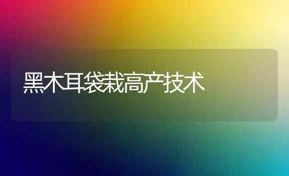 黑木耳袋栽高产技术 | 植物科普