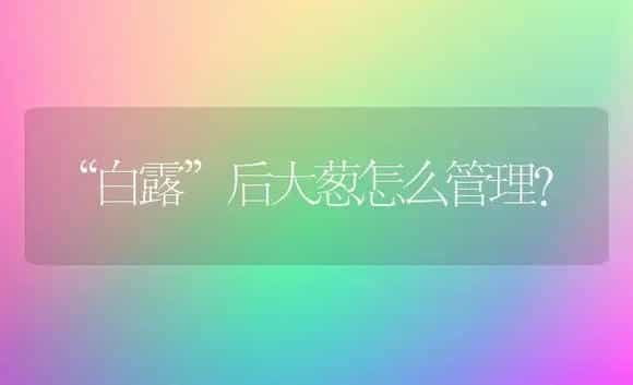 “白露”后大葱怎么管理？ | 植物科普