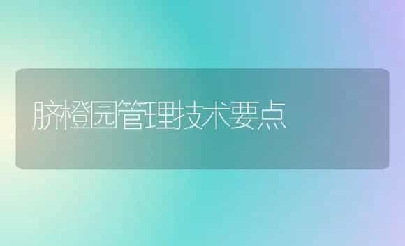 脐橙园管理技术要点 | 植物科普