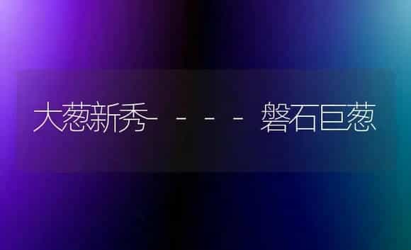 大葱新秀----磐石巨葱 | 植物科普