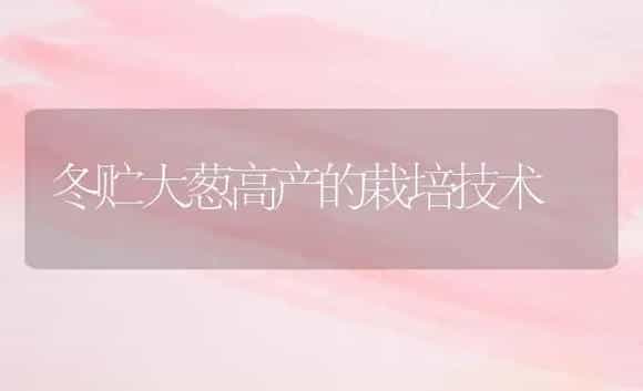 冬贮大葱高产的栽培技术 | 植物科普