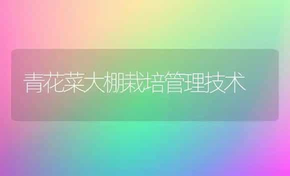 青花菜大棚栽培管理技术 | 植物科普
