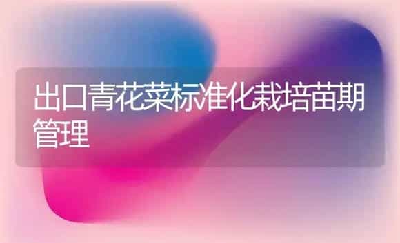 出口青花菜标准化栽培苗期管理 | 植物科普