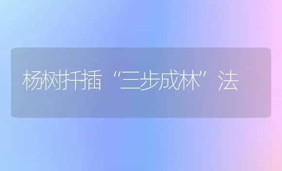 玫瑰对环境条件的要求 | 植物科普
