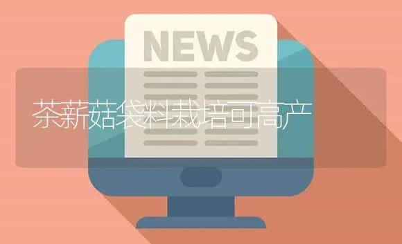 茶薪菇袋料栽培可高产 | 植物资料