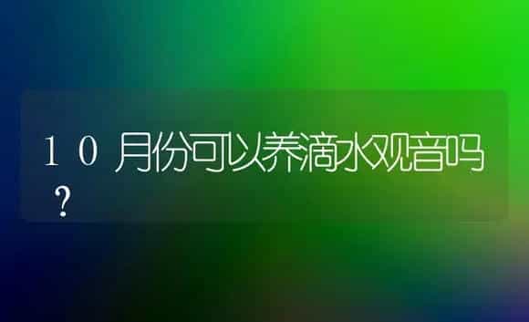 10月份可以养滴水观音吗？ | 植物问答