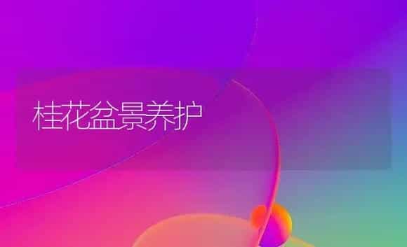 桂花盆景养护 | 植物科普