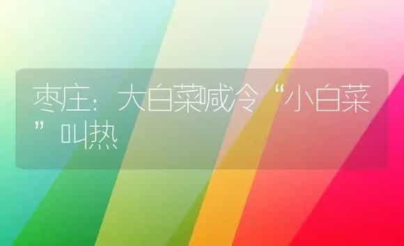 枣庄：大白菜喊冷“小白菜”叫热 | 植物科普