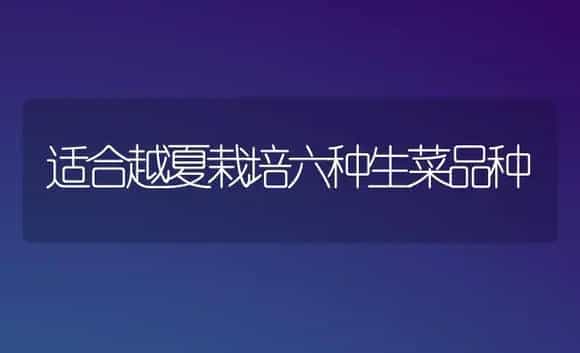 适合越夏栽培六种生菜品种 | 植物科普