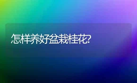 怎样养好盆栽桂花? | 植物科普