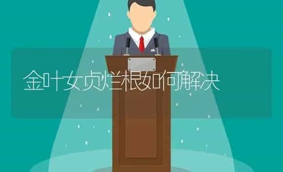 金叶女贞烂根如何解决 | 植物科普