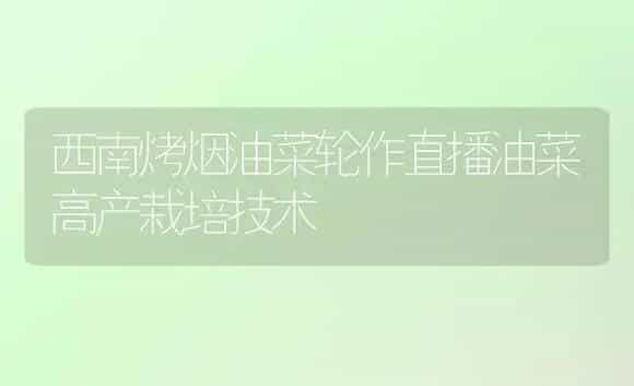 重庆9至10月份脐橙管理技术要点 | 植物科普