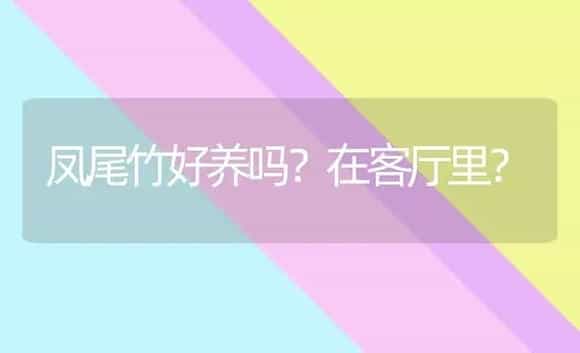 凤尾竹好养吗？在客厅里？ | 植物问答