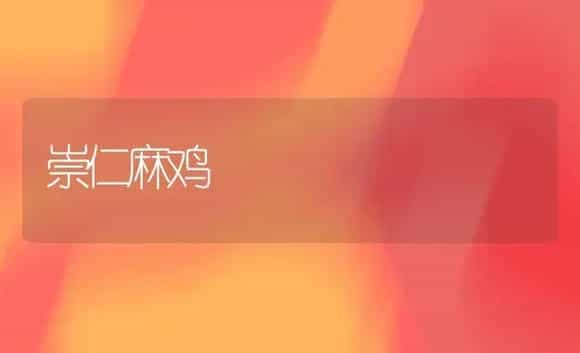 崇仁麻鸡 | 植物科普