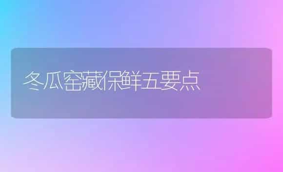桂花品种介绍 | 植物科普