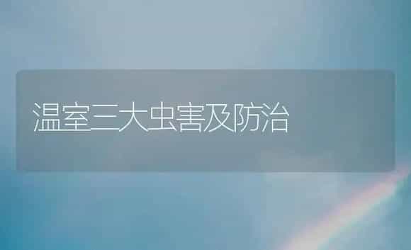 温室三大虫害及防治 | 植物知识