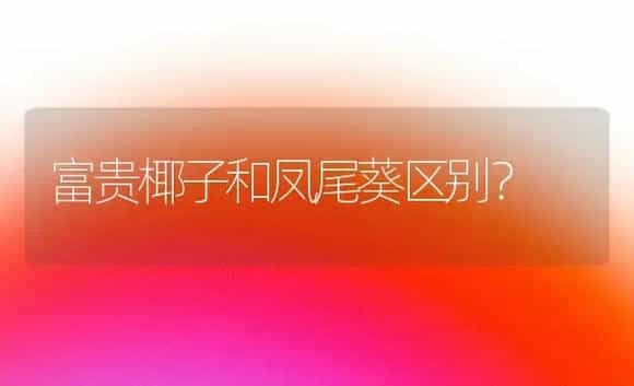 富贵椰子和凤尾葵区别？ | 植物问答