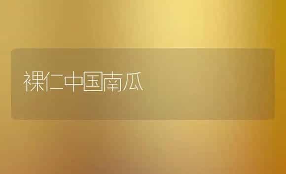 裸仁中国南瓜 | 植物科普