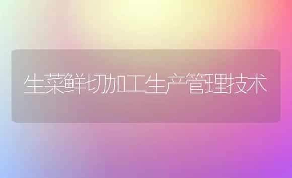 生菜鲜切加工生产管理技术 | 植物科普