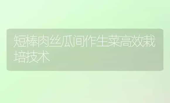 短棒肉丝瓜间作生菜高效栽培技术 | 植物科普