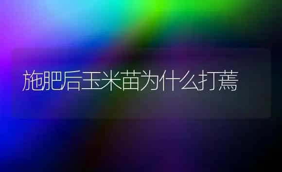 金叶女贞的嫩枝扦插 | 植物科普