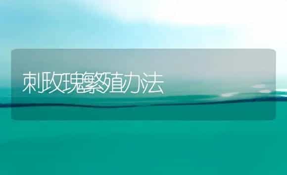 刺玫瑰繁殖办法 | 植物科普