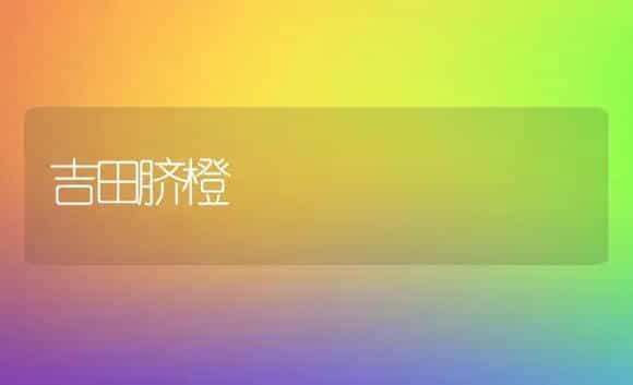 吉田脐橙 | 植物科普