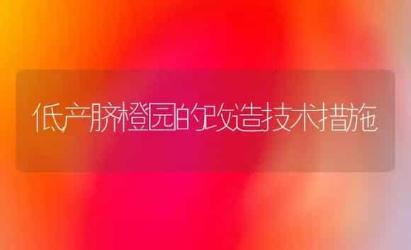 低产脐橙园的改造技术措施 | 植物科普