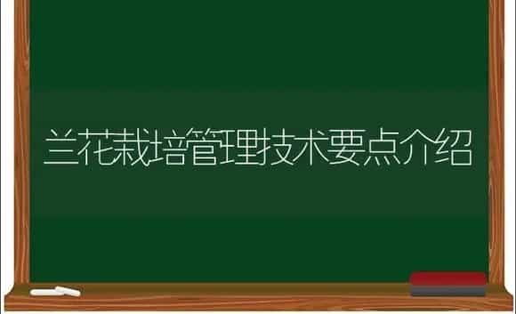 脐橙幼树管理 | 植物科普