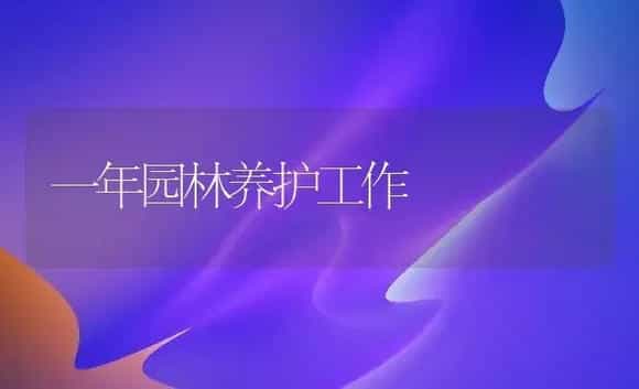 女贞四季价值用途 | 植物科普
