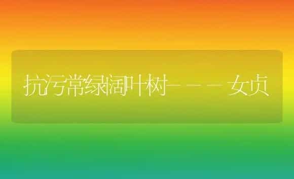 抗污常绿阔叶树---女贞(图) | 植物科普