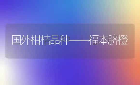 国外柑桔品种——福本脐橙 | 植物科普