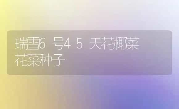 瑞雪6号45天花椰菜――花菜种子 | 植物科普