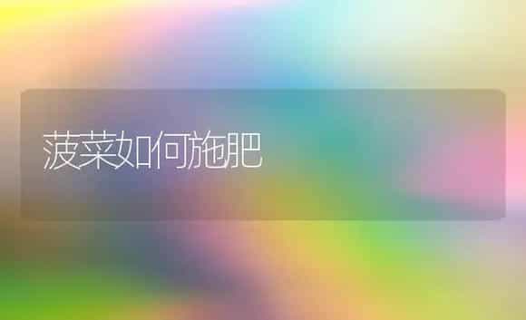 番茄大王栽培要点 | 植物科普
