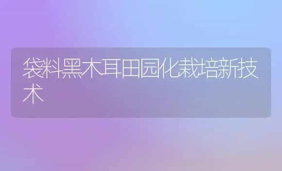 袋料黑木耳田园化栽培新技术 | 植物科普