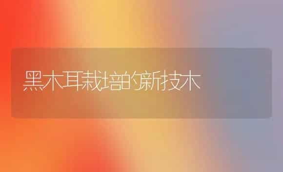 黑木耳栽培的新技木 | 植物科普