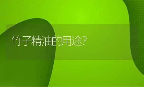 竹子精油的用途？ | 植物问答