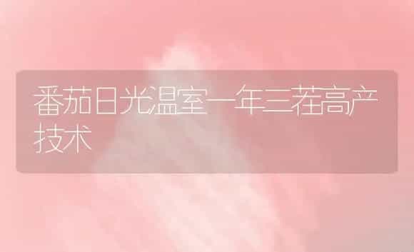 番茄日光温室一年三茬高产技术 | 植物科普