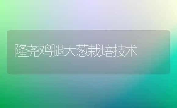 隆尧鸡腿大葱栽培技术 | 植物科普