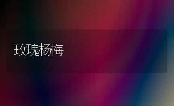 玫瑰杨梅 | 植物科普