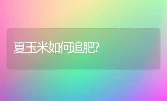 碧松(青花菜) | 植物科普