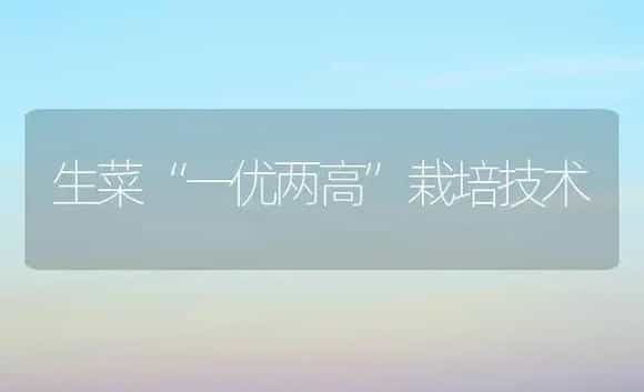 生菜“一优两高”栽培技术 | 植物科普