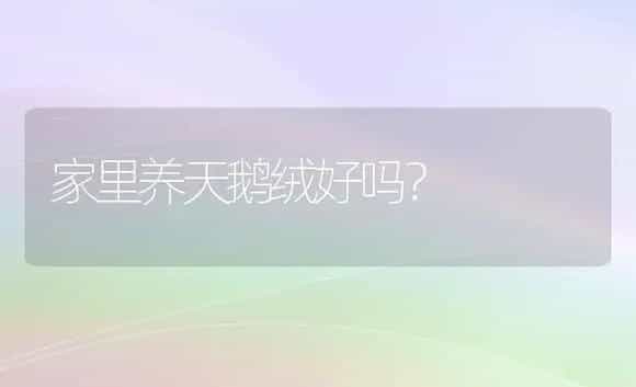 家里养天鹅绒好吗？ | 植物问答