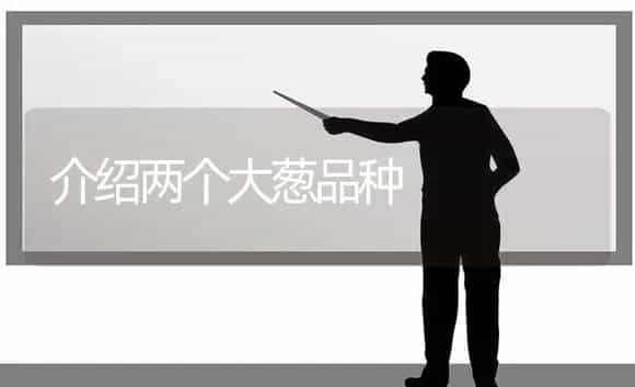 介绍两个大葱品种 | 植物科普