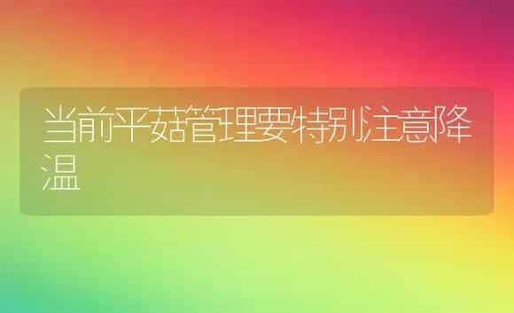 水培郁金香花期可调控 | 植物科普