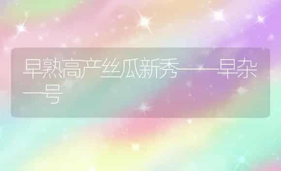 怎样科学盆栽玫瑰 | 植物科普