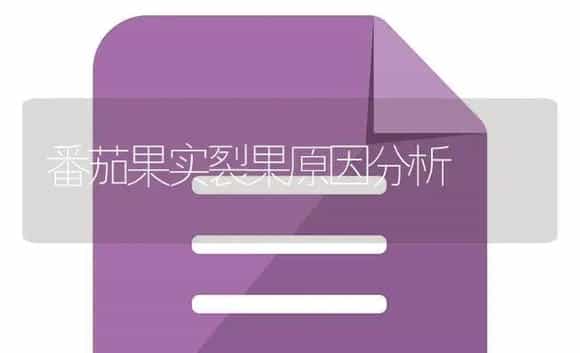 番茄果实裂果原因分析 | 植物百科