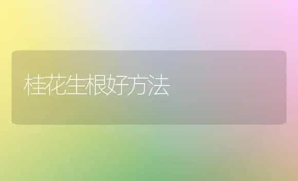 桂花生根好方法 | 植物科普